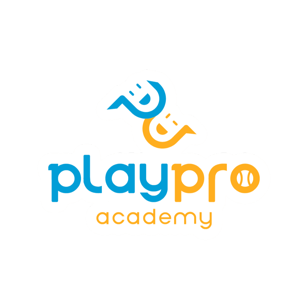 Logo PlayPro Academy